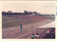 藏品(高雄市鳳鳴國小暨社區運動大會－土風舞表演)的圖片