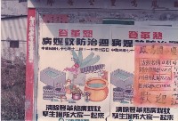 藏品(鳳鳴里公告牌－鳳鳴國小活動與防治登革熱宣傳海報)的圖片