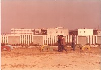 藏品(盧石揚老師榮退學生列隊歡送-3)的圖片