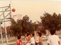 藏品(社區籃球比賽)的圖片