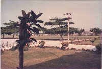 藏品(鳳鳴國小校園籃球場與空曠校地)的圖片