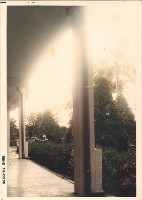 藏品(鳳鳴國小校園建築與風景)的圖片