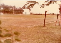 藏品(鳳鳴國小綠地與校舍景觀)的圖片