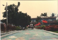 藏品(鳳鳴國小彩繪步道景致)的圖片