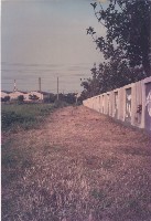 藏品(鳳鳴國小圍牆與校地)的圖片