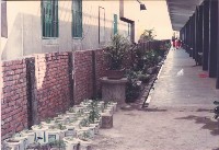 藏品(鳳鳴校舍情景)的圖片