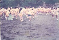 藏品(鳳鳴國小學生淨灘活動-1)的圖片