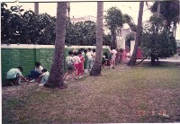 藏品(校園彩繪圍牆-2)的圖片