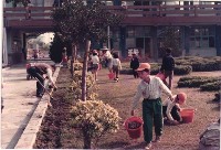 藏品(愛校服務-2)的圖片