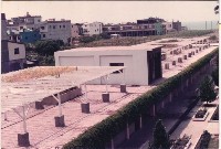 藏品(空中花園─蟛蜞菊-1)的圖片