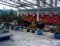 藏品(民俗文化廣場)的圖片