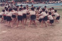 藏品(1980至1990慶祝校慶-5)的圖片