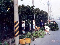 藏品(吾愛吾校)的圖片