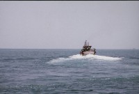 藏品(漁船航海風景)的圖片