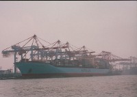 藏品(MAERSK LINE 貨輪)的圖片