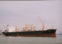 藏品(桃園輪-航行全景)的圖片