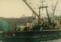 藏品(勝金工作船-1)的圖片