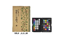 藏品(《模範中等書翰文》)的圖片