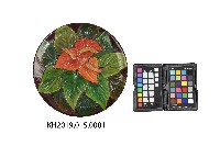 藏品(黑漆火鶴花圓盤)的圖片