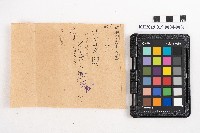 藏品(大正叁年稇源支店各社通士抄集)的圖片