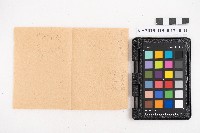 藏品(大正九年 抄帳 稇源支店)的圖片