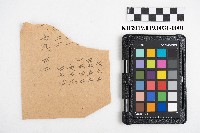 藏品(領收證、請求書存根)的圖片