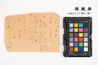 藏品(簿本)的圖片