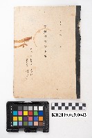 藏品(昭和八年七月一日 持越麥酒受拂簿 第八二區 酒類賣捌人 宋銘經 酒類小賣人 周氏蘭)的圖片