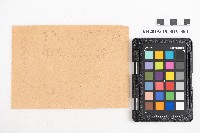 藏品(昭和三年一月 蕃產品販賣簿 蕃產物販賣業 周氏蘭)的圖片