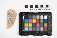 藏品(《日臺會話大全》)的圖片