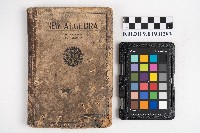 藏品(《NEW ALGEBAR》)的圖片