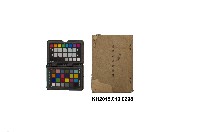 藏品(《諸願屆書式變遷》)的圖片