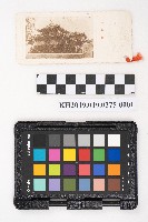 藏品(《柑橘》)的圖片