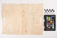 藏品(蕃產品交易領收書)的圖片