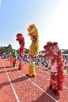 藏品(鳳林國小－百歲生日-3)的圖片