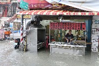 藏品(大林蒲—淹水-1)的圖片