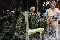 藏品(大林蒲—織網-3)的圖片