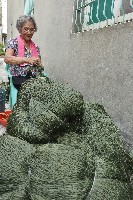 藏品(大林蒲—織網-4)的圖片