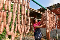 藏品(邦坑—曬香腸)的圖片