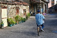 藏品(鳳鼻頭—巷弄)的圖片