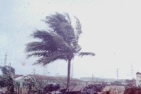 藏品(凱特林颱風-2)的圖片