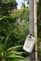 藏品(大林蒲-信箱)的圖片