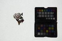 藏品(皮影戲偶頭-武淨)的圖片