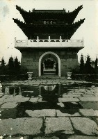 藏品(仁愛公園)的圖片