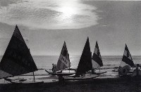 藏品(午後的西子灣)的圖片