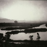 藏品(田園風光籬仔內)的圖片