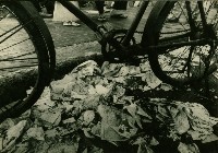 藏品(1966年激戰選戰後-三鳳宮廣場-2)的圖片