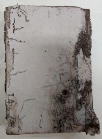 藏品(帳元 稇源商店)的圖片