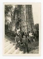 藏品(洪宜一與大學同學至阿里山遊玩留影)的圖片