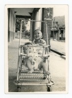 藏品(洪宜一兒子於洪稇源商號亭仔腳留影)的圖片